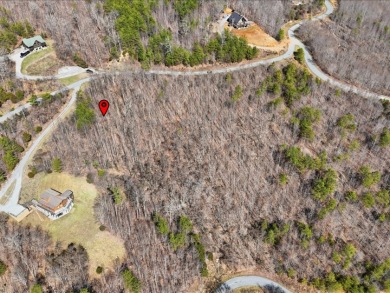 2.24 Acre Norris Lake View Lot - photo 21