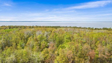 Rare opportunity to own three beautifully wooded lots in the - photo 10