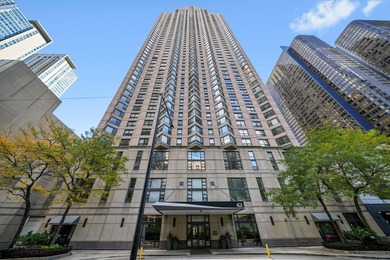 Lake Michigan - Cook County Condo For Sale in Chicago Illinois