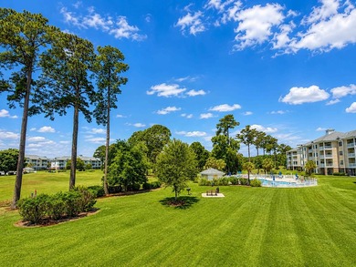 Welcome to Magnolia Pointe, one of Myrtle Beach's most desirable - photo 19