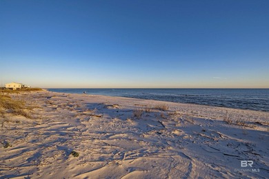 Escape to paradise at 11102 Mobile St in Gulf Shores, Alabama - photo 39