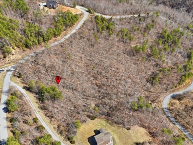 2.24 Acre Norris Lake View Lot - photo 20