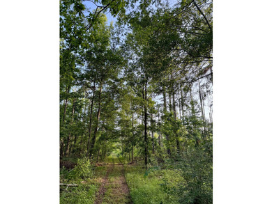 Welcome to 602 McCormick Road, a beautiful 4 bedroom, 2.5 bath - photo 47
