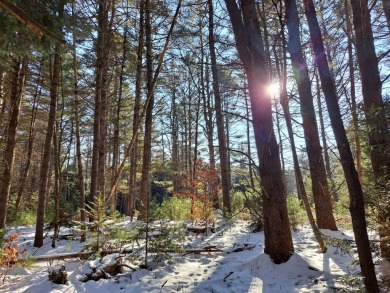 (private lake, pond, coastal) Acreage For Sale in Hope New York