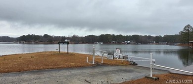 Waterfront ramp access and two picnic pavilions offer diverse - photo 2
