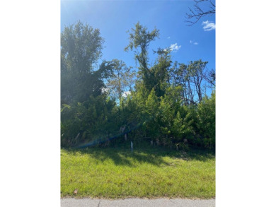 Ready to build lot in the Community of Rotonda Lakes. Close to - photo 1