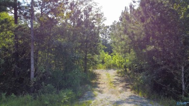 Neely Henry Lake Lot For Sale in Rainbow City Alabama