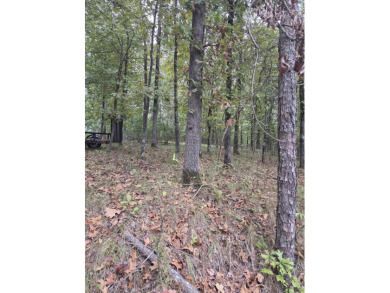 Lake Lot For Sale in Hot Springs, Arkansas
