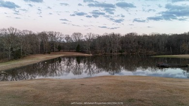 This 53.51+/- acre property in Hinds County combines substantial - photo 15