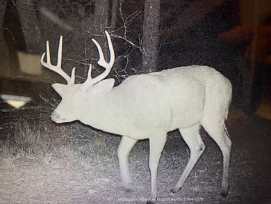 This 53.51+/- acre property in Hinds County combines substantial - photo 20