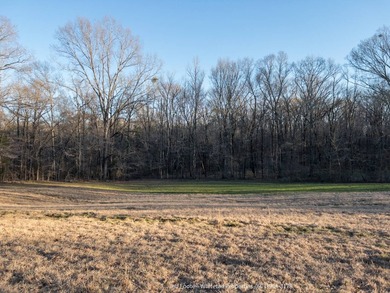 This 53.51+/- acre property in Hinds County combines substantial - photo 23