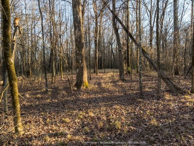 This 53.51+/- acre property in Hinds County combines substantial - photo 24