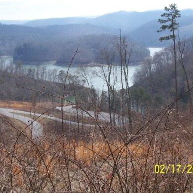 2.24 Acre Norris Lake View Lot - photo 6