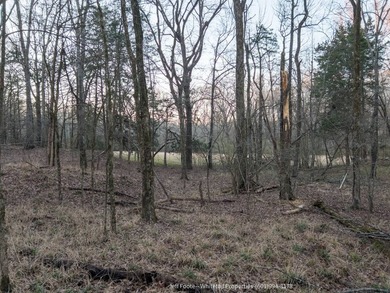 This 53.51+/- acre property in Hinds County combines substantial - photo 31