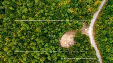 (private lake, pond, creek) Acreage For Sale in Wolfeboro New Hampshire