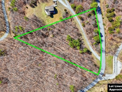 2.24 Acre Norris Lake View Lot - photo 3