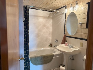 Beautiful River Property - photo 15