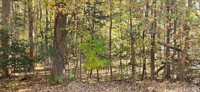 Tucked away at the end of a quiet cul-de-sac, this 2.5 acre - photo 2