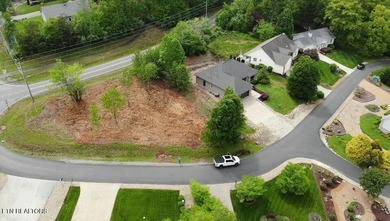 Stunning Lake & Mountain Views in Tellico Village - Toqua - photo 5