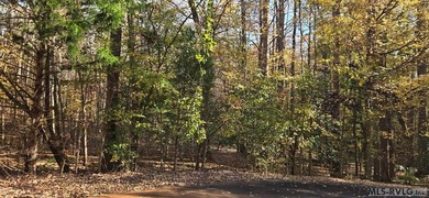 Tucked away at the end of a quiet cul-de-sac, this 2.5 acre - photo 5