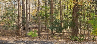 Tucked away at the end of a quiet cul-de-sac, this 2.5 acre - photo 6