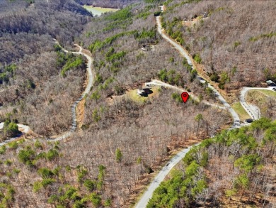 2.24 Acre Norris Lake View Lot - photo 12