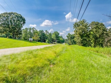 Lake Acreage For Sale in Gainesville, Georgia