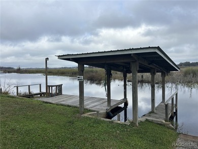 Lake Henderson Home For Sale in Inverness Florida