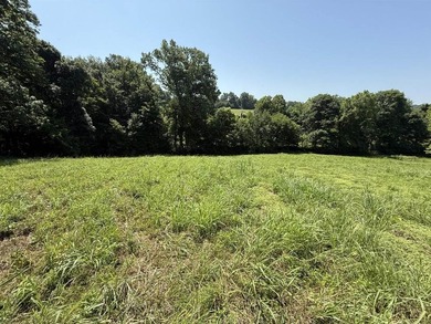 This 20.414 acre property offers mostly open land, a natural - photo 11