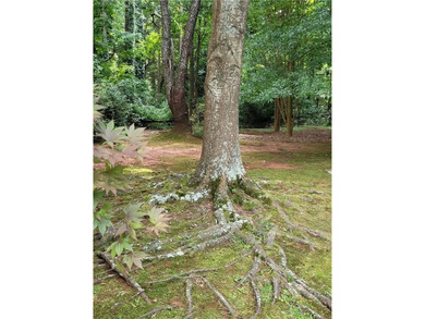 This beautiful quant weekend getaway or primary resident is a 3 - photo 12