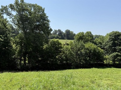 This 20.414 acre property offers mostly open land, a natural - photo 12
