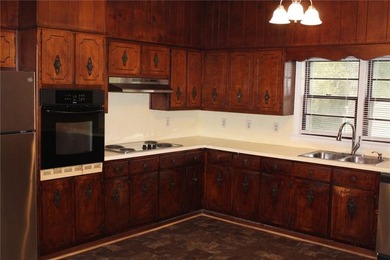 Charming 1.2 acre Property-Near Lake Lanier - No HOA, Endless - photo 13