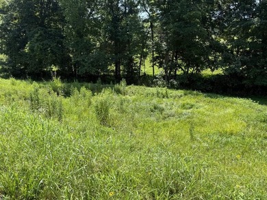 This 20.414 acre property offers mostly open land, a natural - photo 13