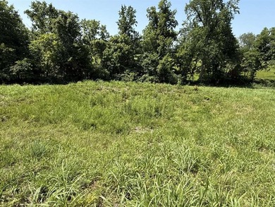 This 20.414 acre property offers mostly open land, a natural - photo 14