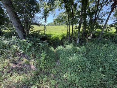 This 20.414 acre property offers mostly open land, a natural - photo 15