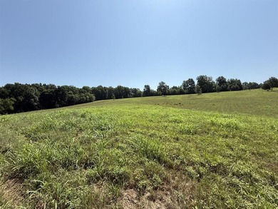 This 20.414 acre property offers mostly open land, a natural - photo 16