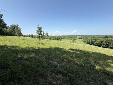 This 20.414 acre property offers mostly open land, a natural - photo 17