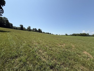This 20.414 acre property offers mostly open land, a natural - photo 18