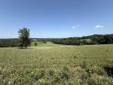 This 20.414 acre property offers mostly open land, a natural - photo 19