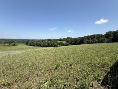 This 20.414 acre property offers mostly open land, a natural - photo 20