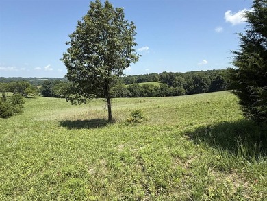 This 20.414 acre property offers mostly open land, a natural - photo 21