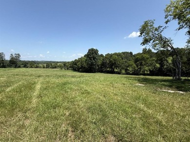 This 20.414 acre property offers mostly open land, a natural - photo 22
