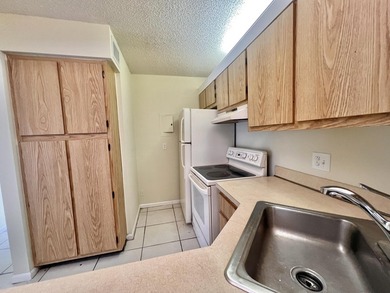 FOR SALE 2-Bedroom, 2-Bathroom Condo with Pool and Lake - photo 4