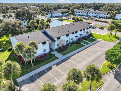 Lake Fredrica  Condo For Sale in Orlando Florida