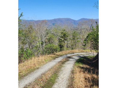 Tuckaseegee River Lot For Sale in Whittier North Carolina