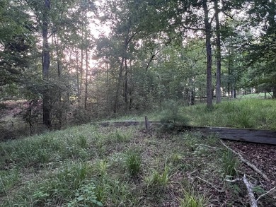 Escape to the natural beauty of Toledo Bend with this unique - photo 11
