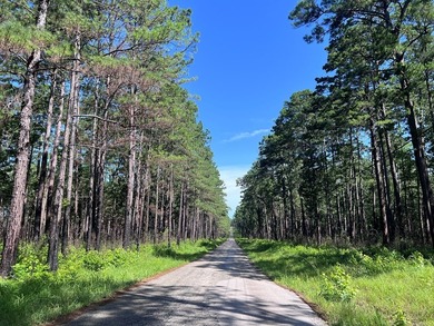 Escape to the natural beauty of Toledo Bend with this unique - photo 12