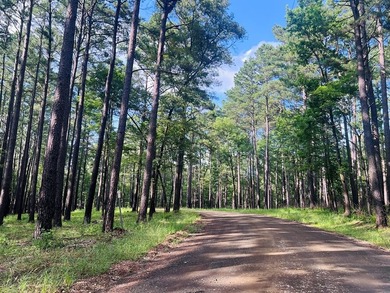 Escape to the natural beauty of Toledo Bend with this unique - photo 15
