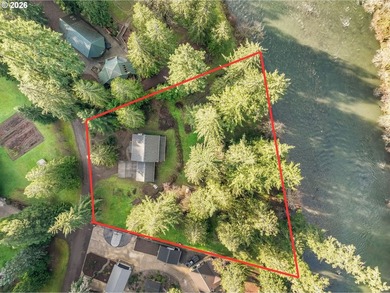 Kalama riverfront acreage! A rare offering along the Kalama - photo 3