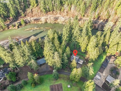 Kalama riverfront acreage! A rare offering along the Kalama - photo 4